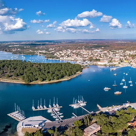 Belica Daire